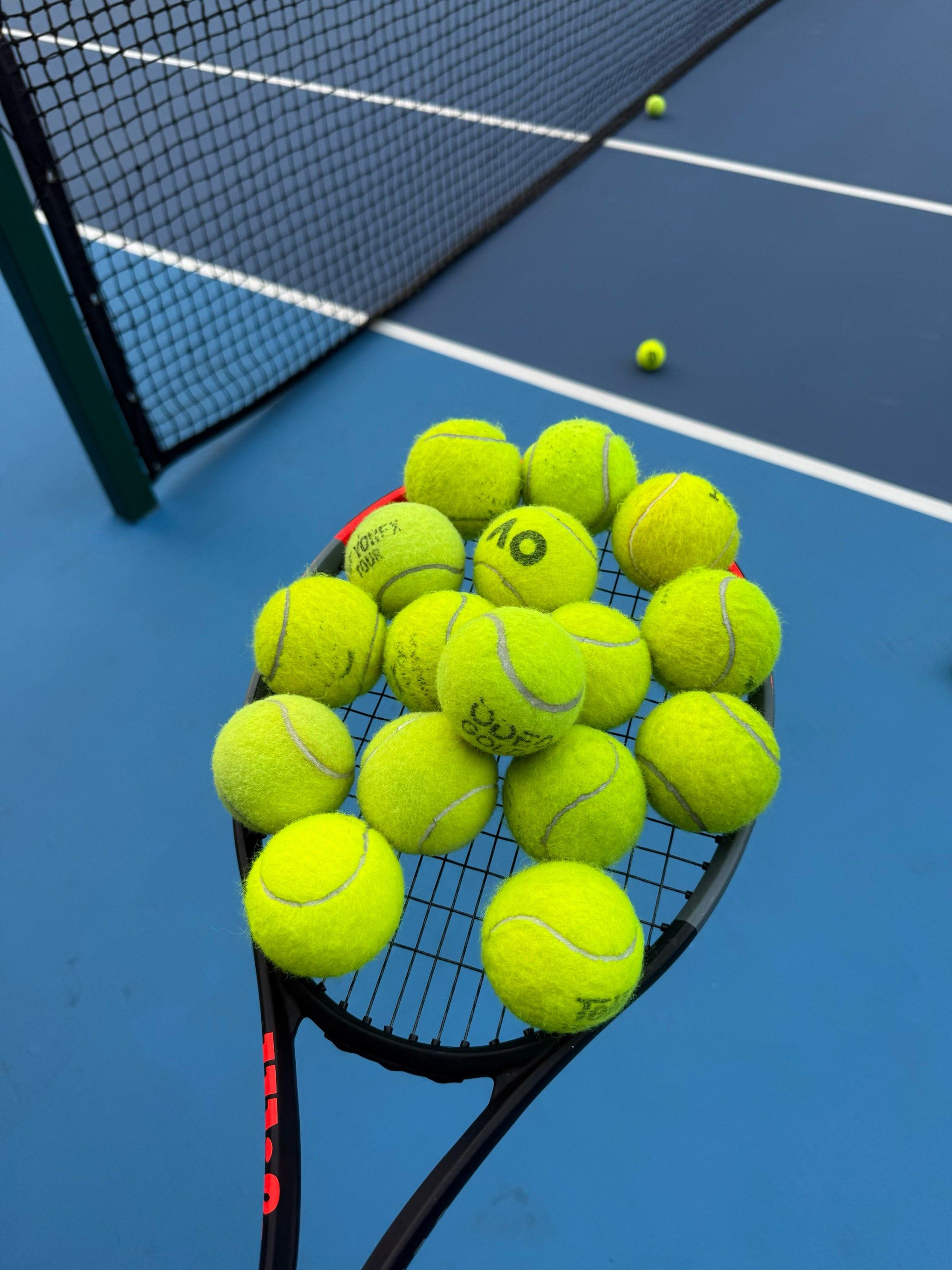 的属性结构 的属性结构